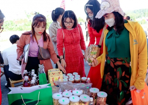 SỰ KIỆN : PHIÊN CHỢ NGÀY XUÂN MỪNG ĐÔ THỊ MỚI 